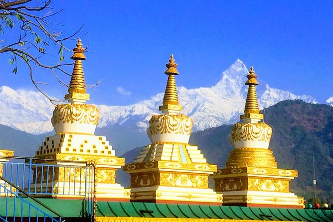 Morning Tibetan cultural tour to Tibetan settlements Pokhara - Reading the symbols at Shree Gaden Dhargay Ling