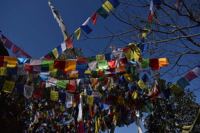 Namo Buddha and Thrangu Tashi Yangtse Monastery Half-Day Tour - Why Namo Buddha Makes a Good Escape from Kathmandu