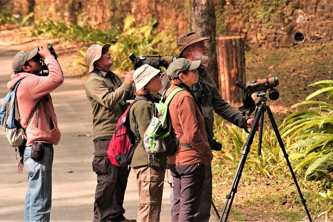 Nepal Birding - Timing, food, and what to bring