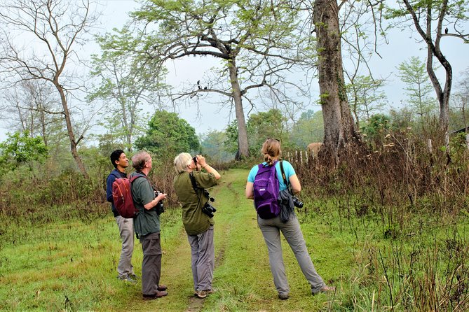Nepal Birding - Who should book this birding trip?