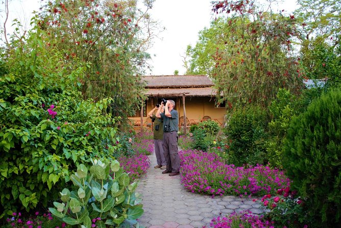 Nepal Birding - The Chitwan and Gadhi-Siraichuli version