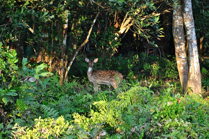 Nepal Classic Tour -12 Days - Why this route works for a first visit