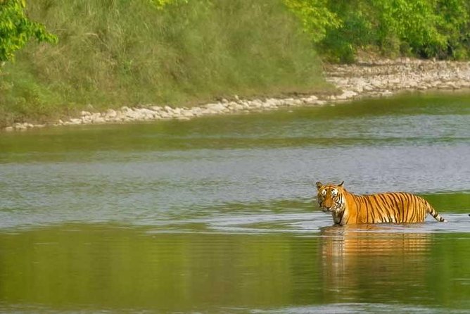 Nepal Classic Tour -12 Days - Pokhara and Sarangkot deliver the mountain views