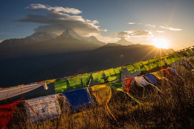 Nepal Cultural Highlights Tour in 10 Days - Chitwan changes temples for river and wildlife