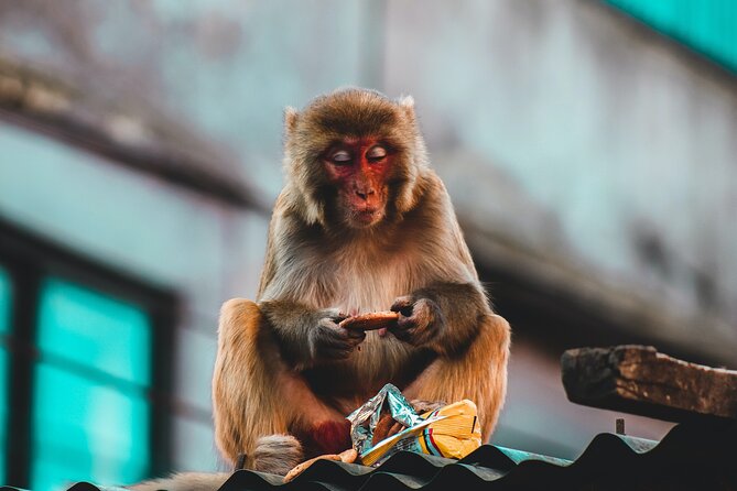 Nepal Cultural Highlights Tour in 10 Days - Bandipur offers a gentler final stop