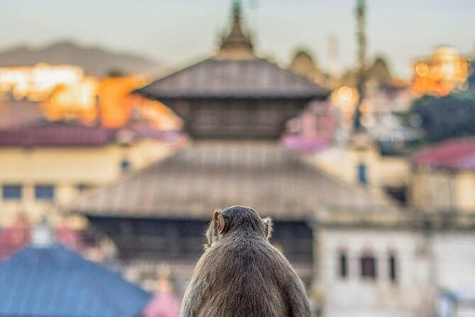 PashupatiNath and BoudhaNath - Private/Small Group - Shiva’s story at Mrigasthali Deer Park