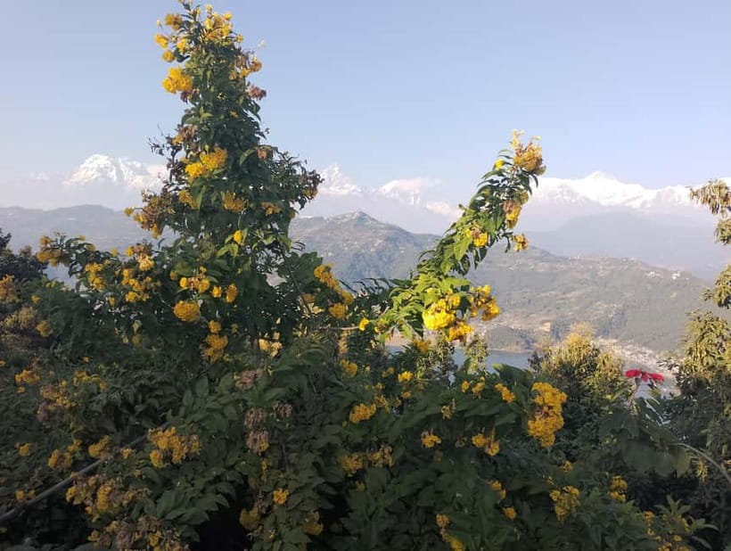 Peace & Panorama: Stupa and Pumdikot Scenic Drive Tour - How to prepare for the drive and viewpoints