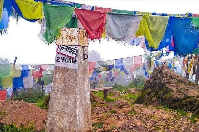 Phulchoki bird-watching tour - Why Phulchoki works for a Kathmandu day trip