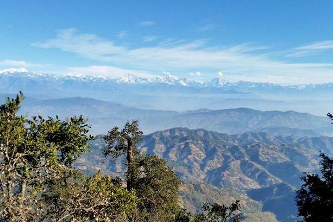 Phulchoki bird-watching tour - Guides who make the forest easier to read