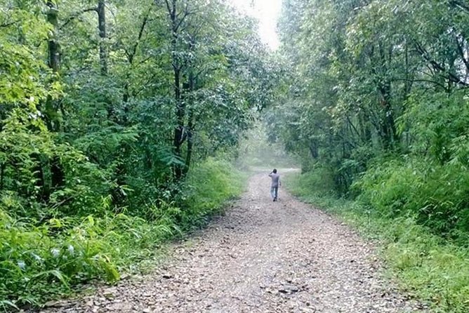 Phulchoki bird-watching tour - From Kathmandu to Godawari at 6:15 am