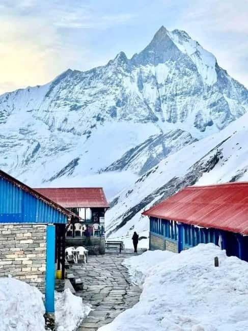 Pkr/Kathmandu: 5-Day Annapurna Base Camp & Hot spring Trek - Day Two: Waterfalls and Forest on the Way to Deurali