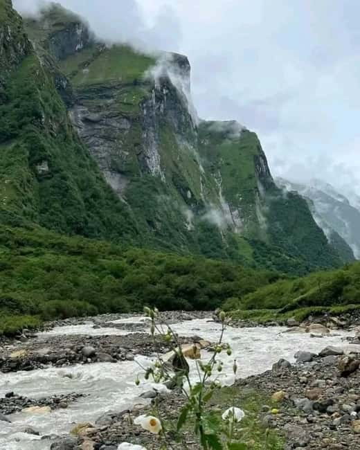 Pkr/Kathmandu: 5-Day Annapurna Base Camp & Hot spring Trek - Day Three: Machapuchare Base Camp to Annapurna Base Camp