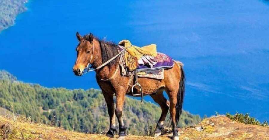 Pokhara: 1-Hour Horseback Ride with Hotel Pickup - Why a short ride works well in Pokhara