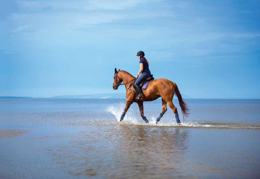 Pokhara: 1-Hour Horseback Ride with Hotel Pickup - What the $20 price includes