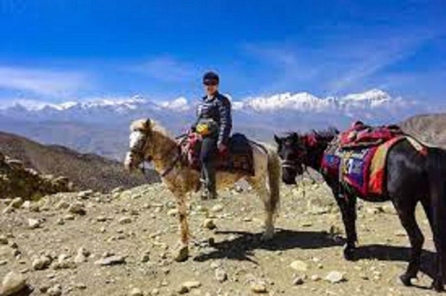 Pokhara: 1-Hour Horseback Ride with Hotel Pickup - Starting near Lakeside and Phewa Lake
