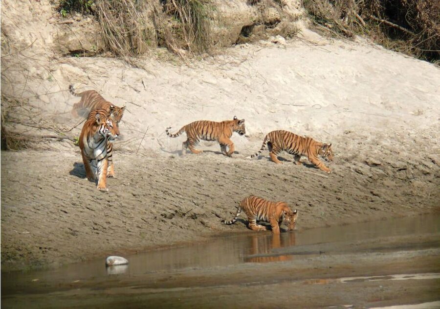Pokhara: 1 Night 2 Day Chitwan Safari Tour - Arriving at Chitwan National Park