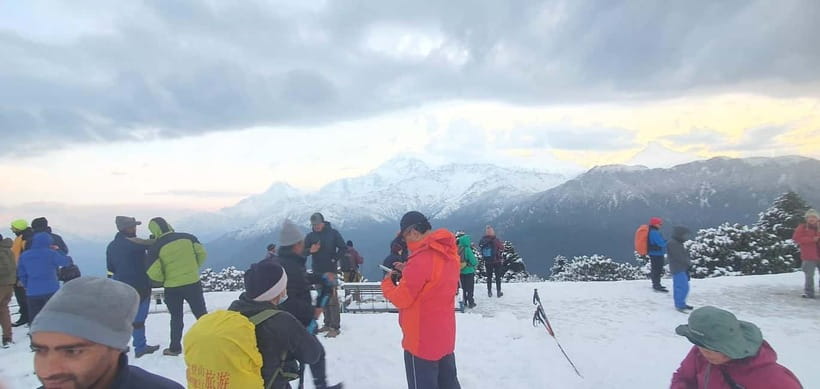 Pokhara: 2 & 3 Days Ghorepani Poon Hill Private Guided Trek - Rhododendron forests on the way to Ghorepani