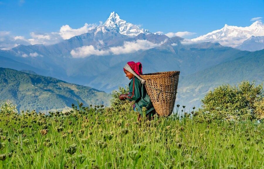 Pokhara: 2-Day Australian Camp & Dhampus Village Easy Hike - What the $75 price includes, and what it does not