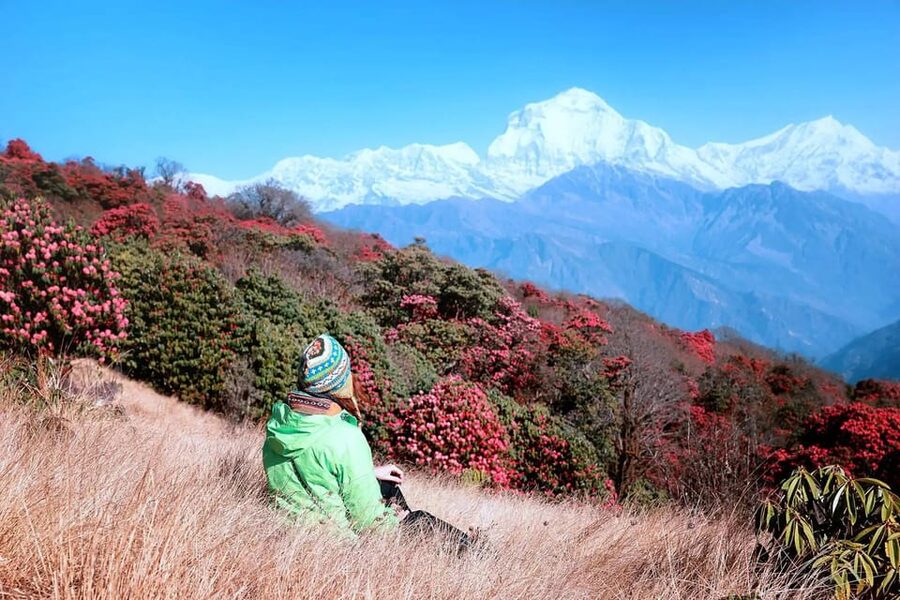 Pokhara: 2 Day Ghorepani & Poon Hill Private Trekking - Key points at a glance