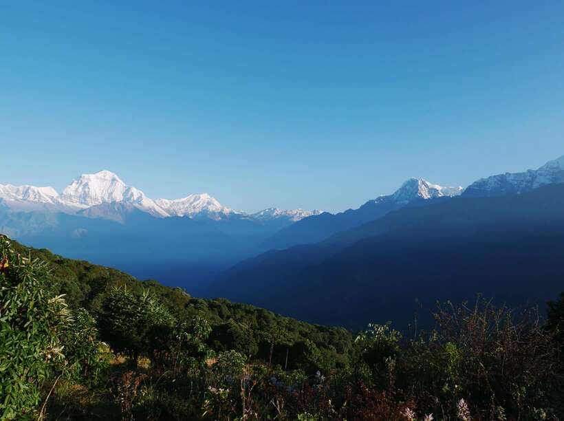 Pokhara: 2-Day Short & Sweet Ghorepani Poon Hill Guided Trek - Who should book this trek