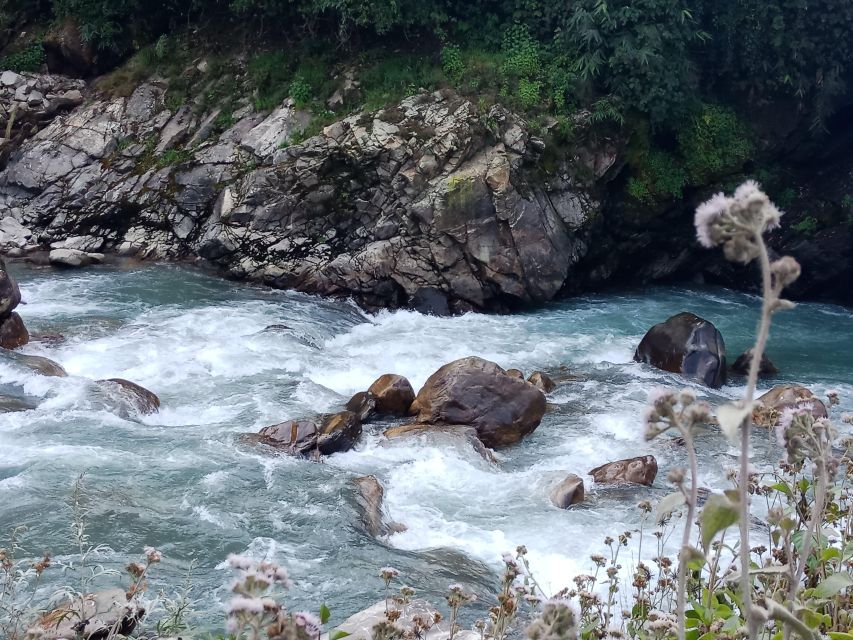 Pokhara: 3-Day Ghorepani, Poon Hill and Ghandruk Guided Trek - Day 2: Poon Hill sunrise and the descent to Ghandruk