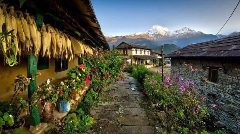 Pokhara: 3-Day Ghorepani, Poon Hill & Ghandruk Guided Trek - Day 2: Poon Hill sunrise and the trail to Tadapani or Ghandruk