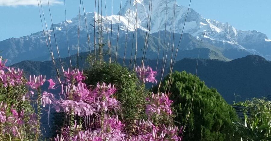 Pokhara: 3-Day Trek - Day 2: A four-hour ridge walk to Astam