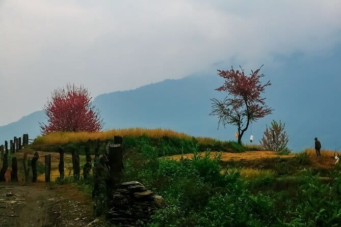 Pokhara 3 Days Ghorepani and Poon Hill Private Trek via Ghandruk - What private guiding changes on this route