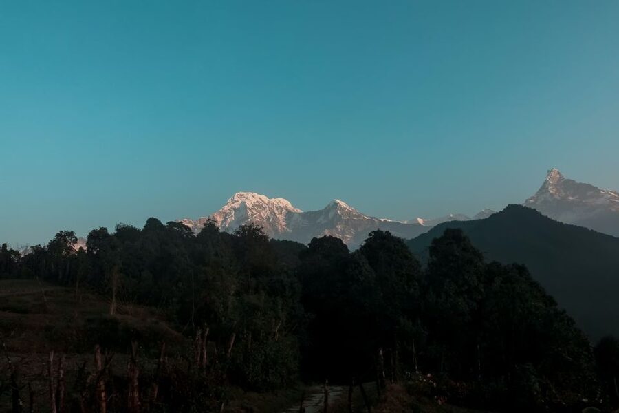 Pokhara:4-Day Ghorepani Poon Hill Guided Trek via Ghandruk - Day three: Ghorepani to Ghandruk by way of forest and descent