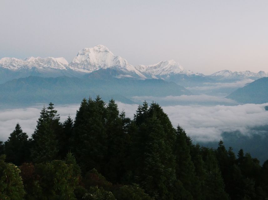 Pokhara:4-Day Ghorepani Poon Hill Guided Trek via Ghandruk - Guides, pace, and private-group value