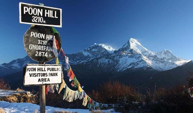 Pokhara: 4-Day Ghorepani, Poonhill & Ghandruk Mountain Trek - Day two: Rhododendron forests on the way to Ghorepani
