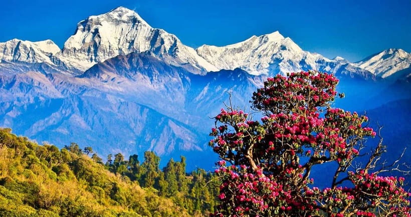 Pokhara: 4-Day Ghorepani, Poonhill & Ghandruk Mountain Trek - Day one: Pokhara to Nayapool and the climb to Ulleri