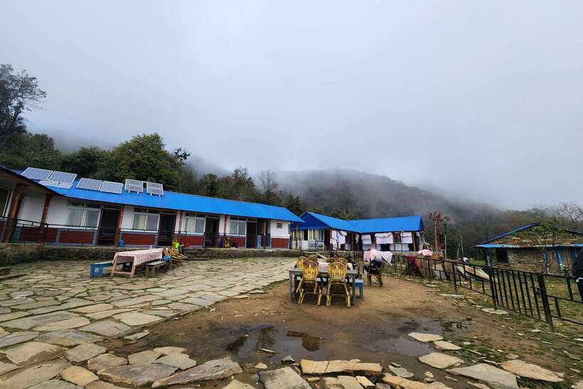 Pokhara: 4-Day Mardi Himal Trek - Day 4: Forest paths, Kalimati, and the ride to Pokhara
