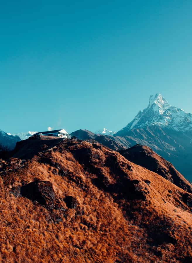 Pokhara: 4-Day Mesmerizing Mardi Himal Guided Trek - Who should book this trek