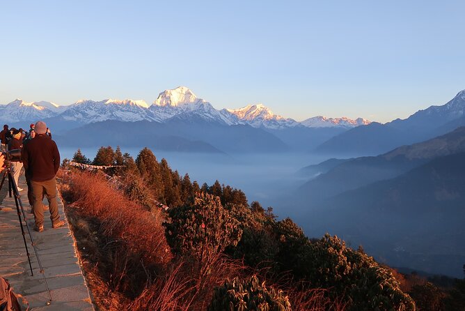 Pokhara: 4 Day Poon Hill Trek - Day three: Poon Hill before breakfast