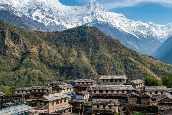 Pokhara: 4 Days Poon Hill and Ghandruk Trek - Day 3: The Poon Hill sunrise, then down to Ghandruk