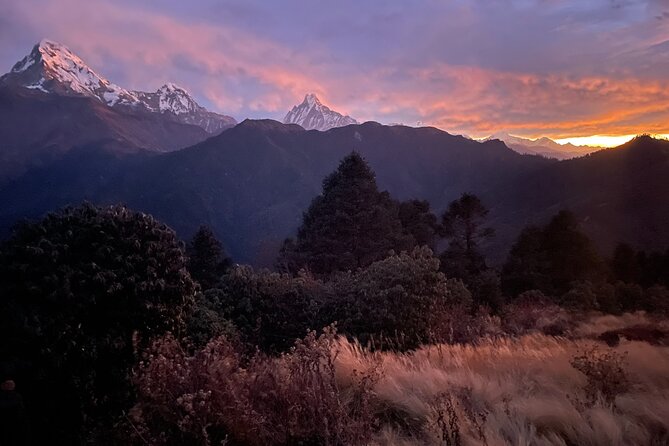 Pokhara: 4 Days Poon Hill and Ghandruk Trek - Day 2: Ulleri to Ghorepani through forest