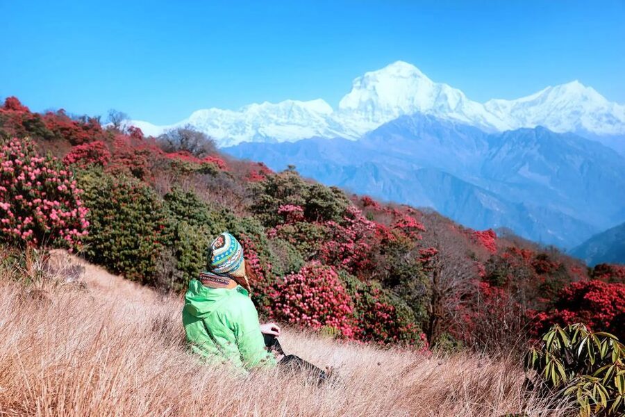 Pokhara: 5-Day Ghorepani and Poon Hill Private Trek - Day 5: Ghandruk to Nayapul, then back to Pokhara