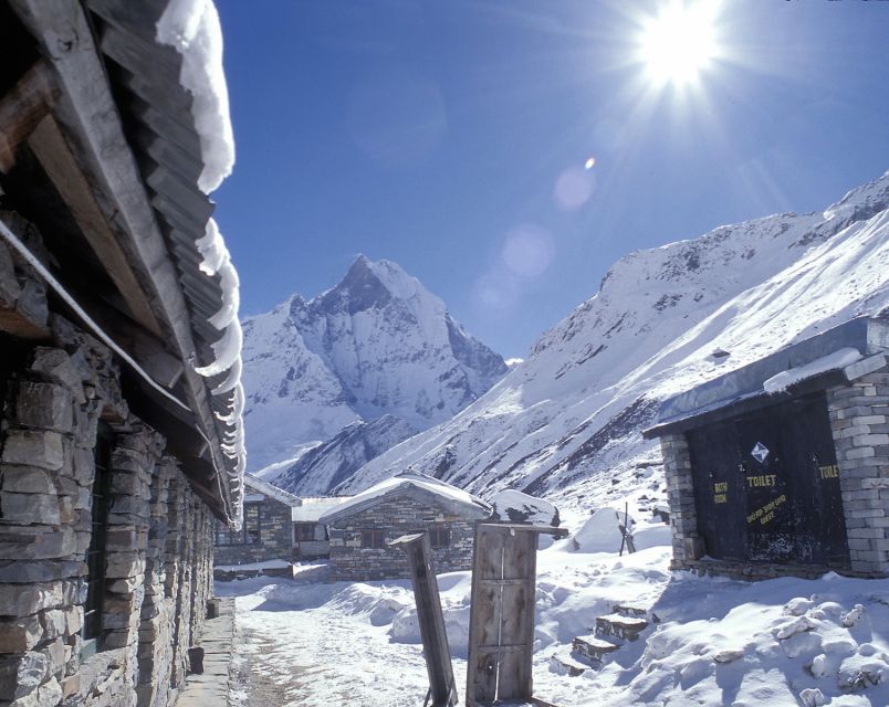 Pokhara: 5-Day Trek to Annapurna Base Camp and Hot Springs - Key points to know before you book