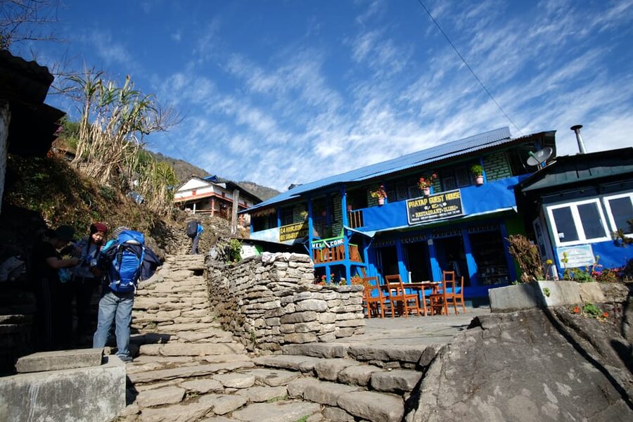 Pokhara: 7-Day Annapurna Base Camp Via PoonHill & Hot Spring - Day 4: Sinuwa to Deurali through bamboo forest