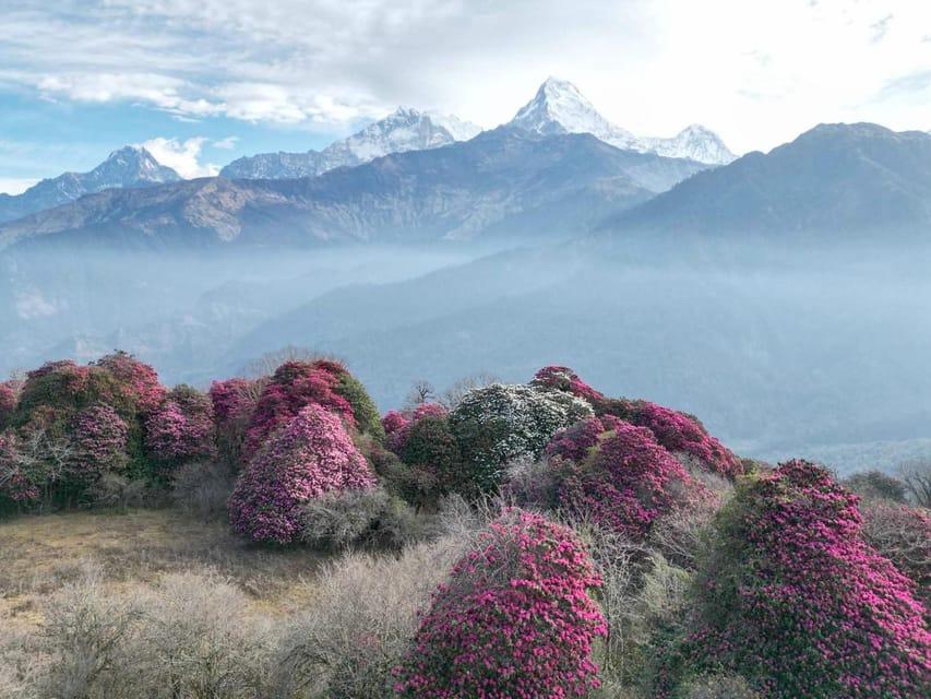 Pokhara: 7-Day Annapurna Base Camp Via PoonHill & Hot Spring - Day 7: Bamboo, Jhinu hot spring, and Pokhara