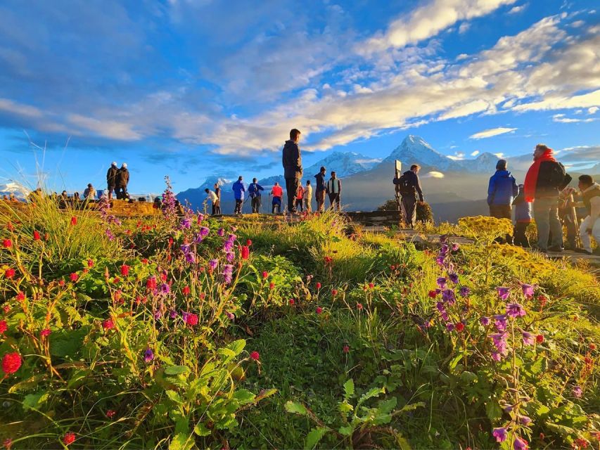 Pokhara: 9-Day Annapurna Base Camp Trek with Poon Hill - Day 3: Poon Hill sunrise, Tadapani, and Chuile