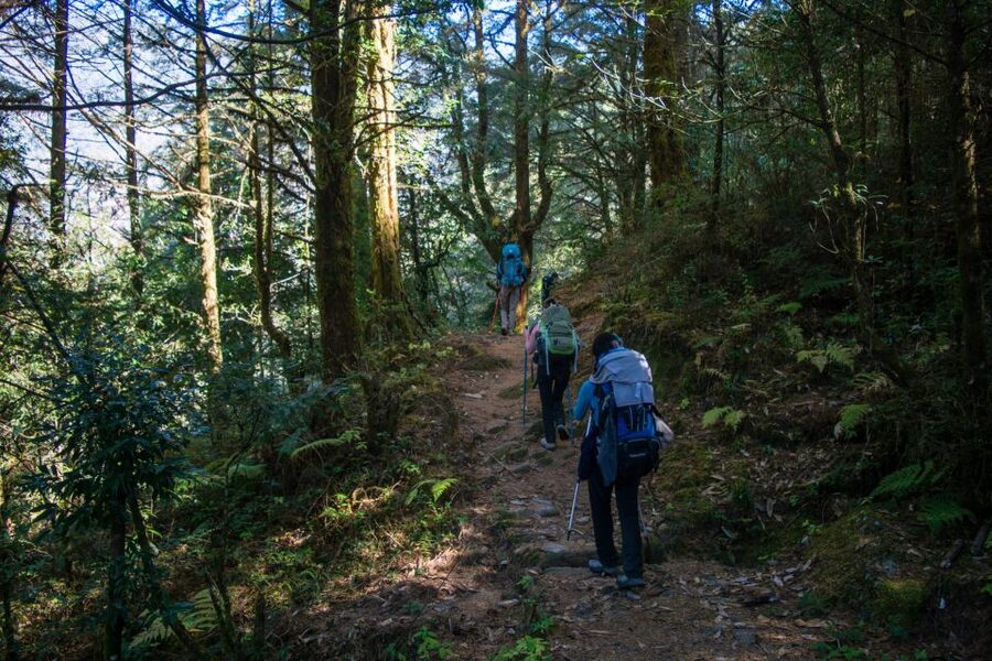 Pokhara: 9-Day Annapurna Base Camp Trek with Poon Hill - Day 4: Chuile to Sinuwa through river country
