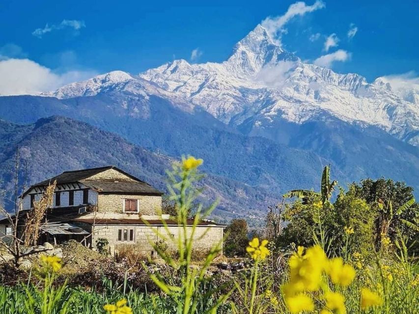 Pokhara: 9-Day Annapurna Base Camp Trek with Poon Hill - Day 7: Descending from Base Camp to Bamboo