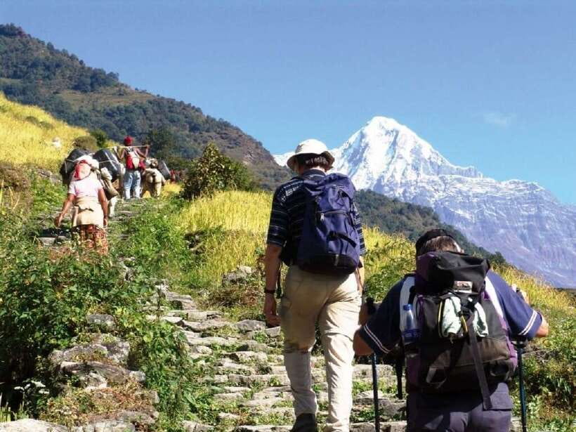 Pokhara: Annapurna Day Hike with Panoramic Views - Key points to know before you book