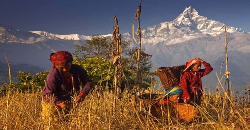 Pokhara: Annapurna Day Hike with Panoramic Views - Who will enjoy this route most?