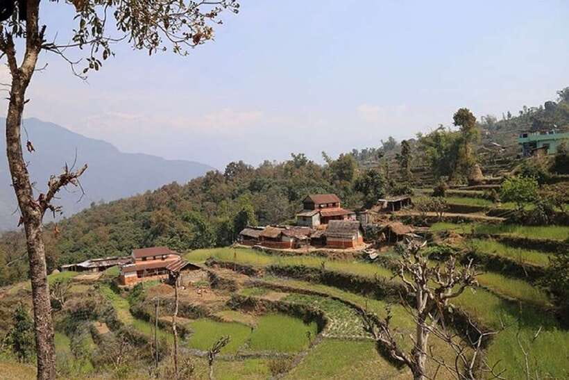 Pokhara: Annapurna Day Hike with Panoramic Views - The climb to Australian Camp takes about 90 minutes