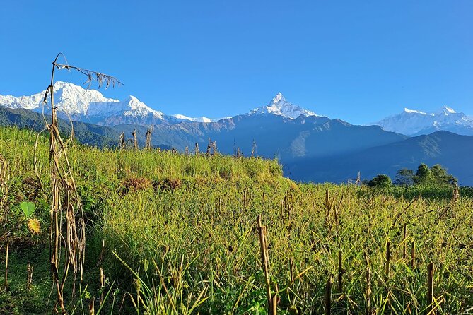 Pokhara: Easy Day Hike to Australian Camp & Dhampus Village - Australian Camp and the Annapurna panorama