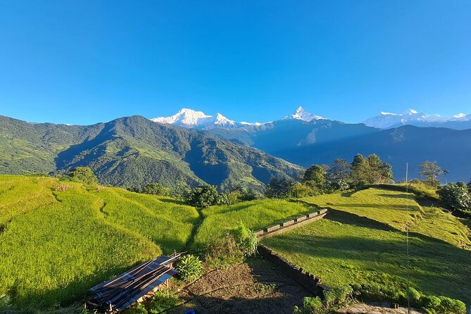 Pokhara: Easy Day Hike to Australian Camp & Dhampus Village - The walk toward Phedi and the ride back