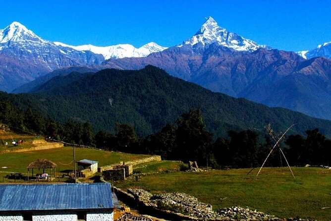 Pokhara: Easy Day Hike to Australian Camp & Dhampus Village - Walking from Kande to Australian Camp